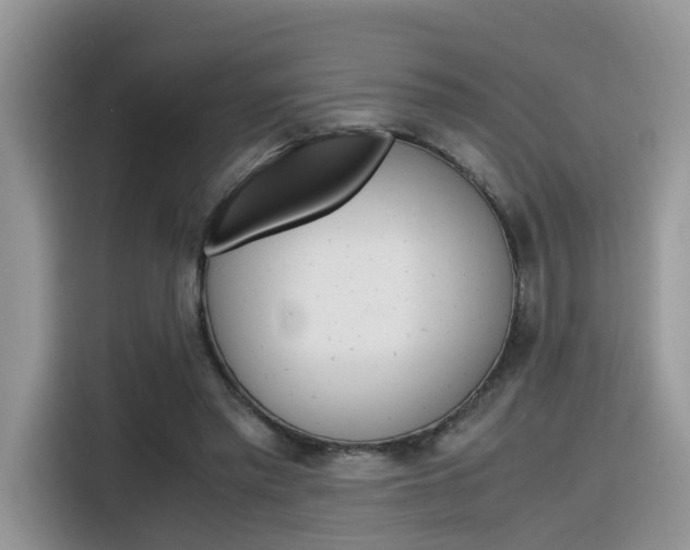 X0000116350397200912011042