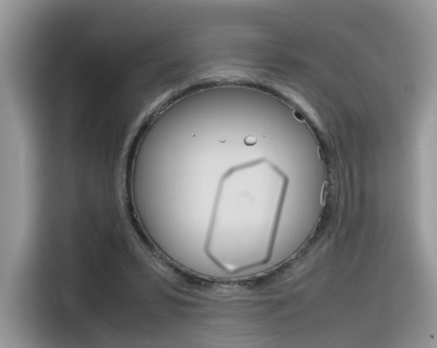 X0000116350399200912011042