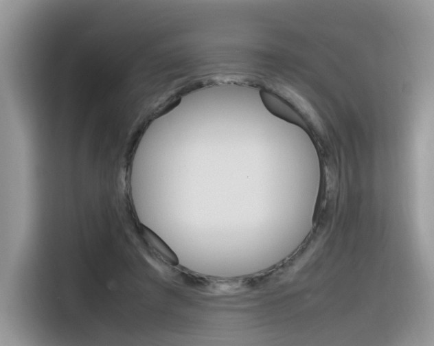 X0000116350401200912011042