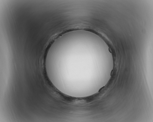 X0000116350403200912011042