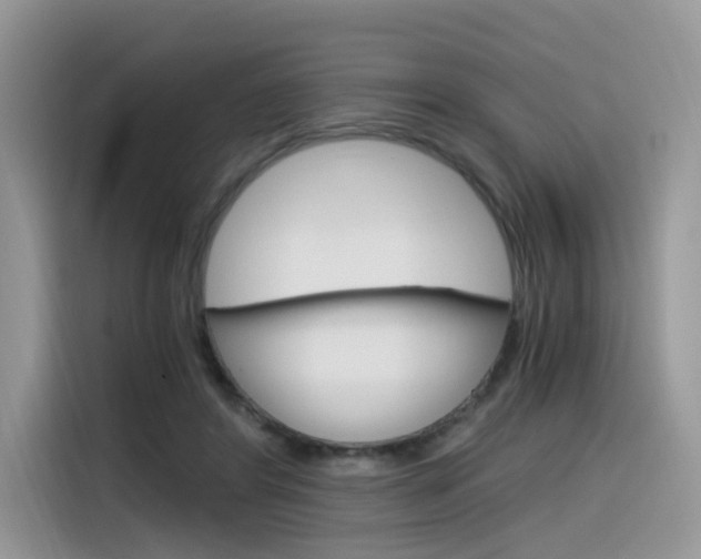 X0000116350404200912011042