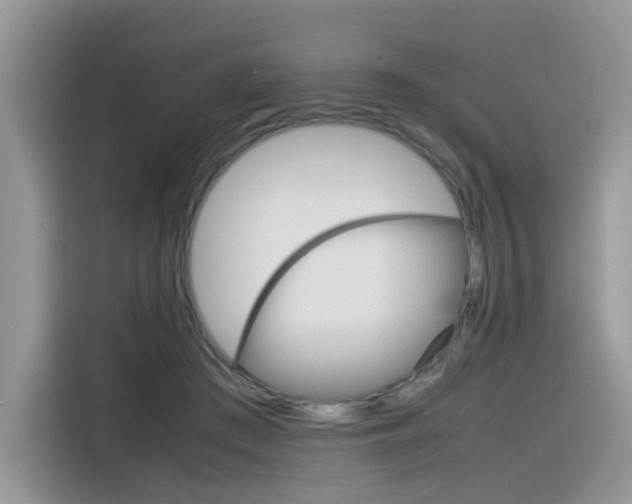 X0000116350409200912011042