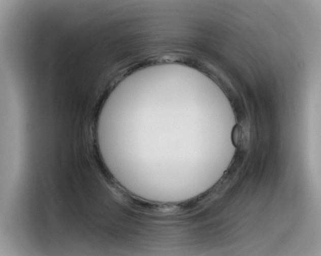 X0000116350410200912011042