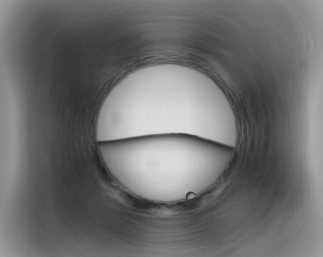 X0000116350412200912011042