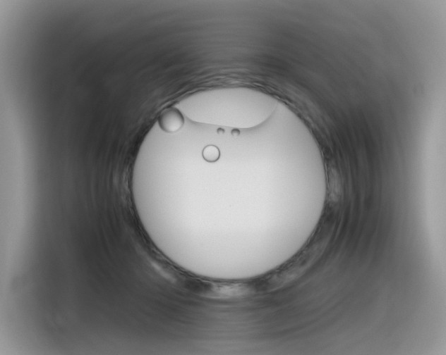 X0000116350414200912011042