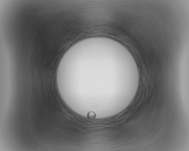X0000116350415200912011042