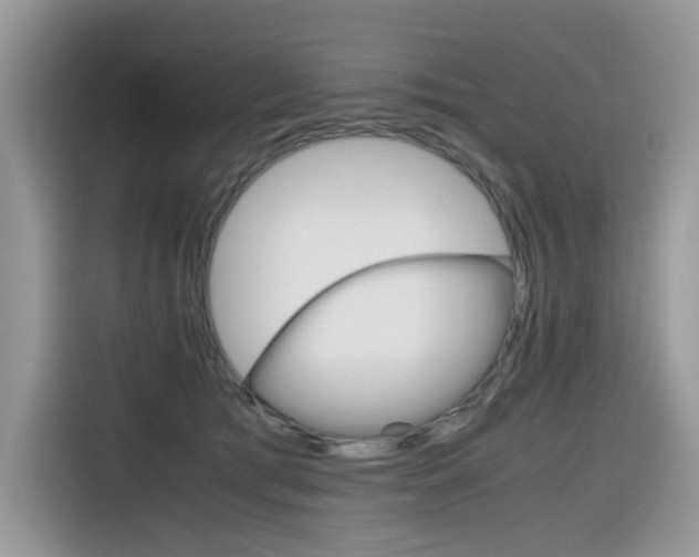 X0000116350417200912011042