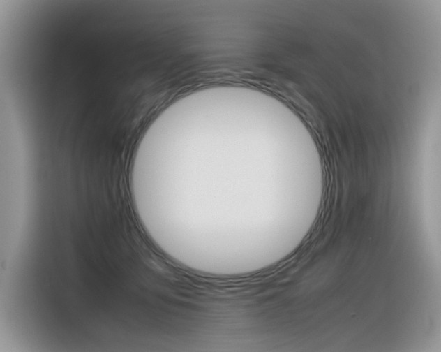 X0000116350419200912011042