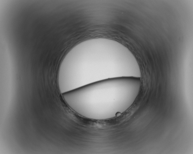 X0000116350420200912011042