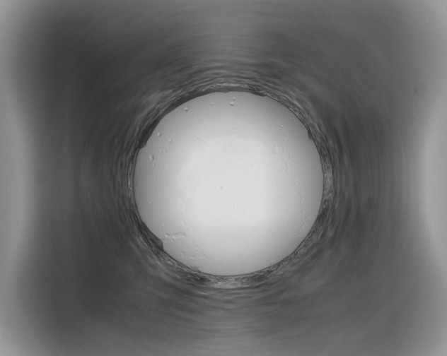 X0000116350423200912011042
