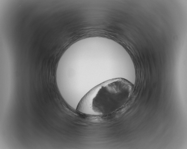 X0000116350424200912011042