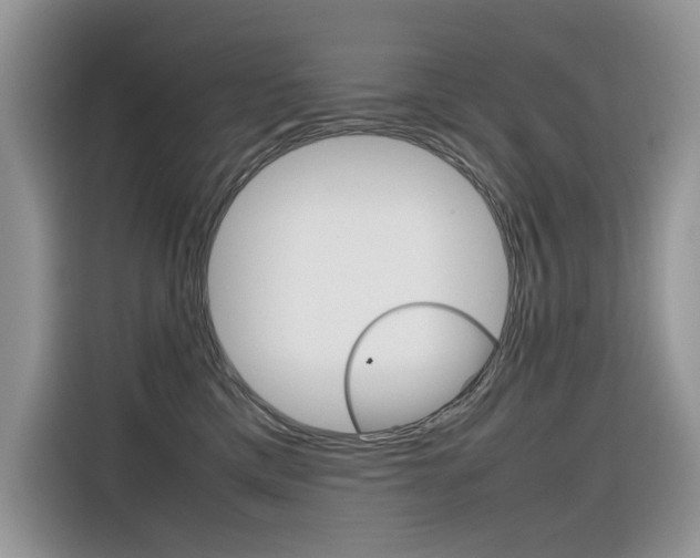X0000116350425200912011042