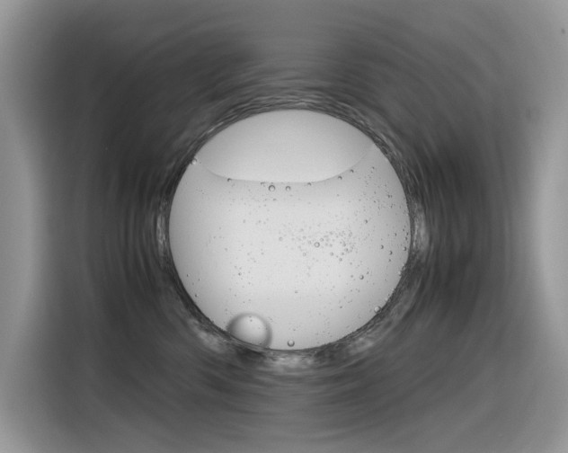 X0000116350426200912011042