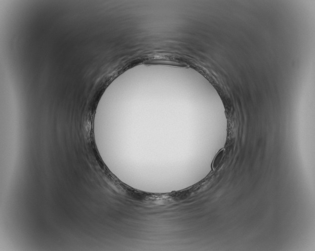 X0000116350427200912011042