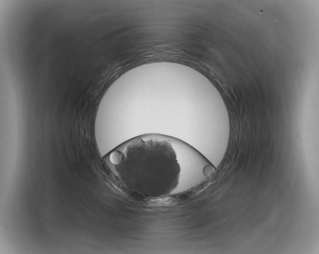 X0000116350428200912011042