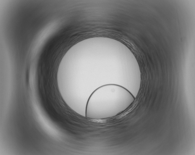 X0000116350429200912011042