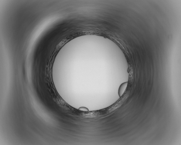 X0000116350430200912011042