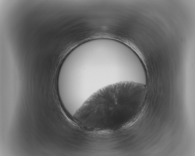 X0000116350433200912011041