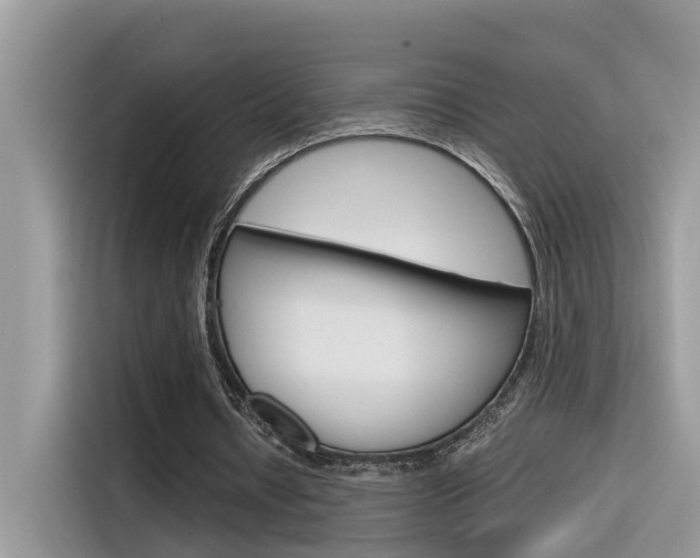 X0000116350434200912011041