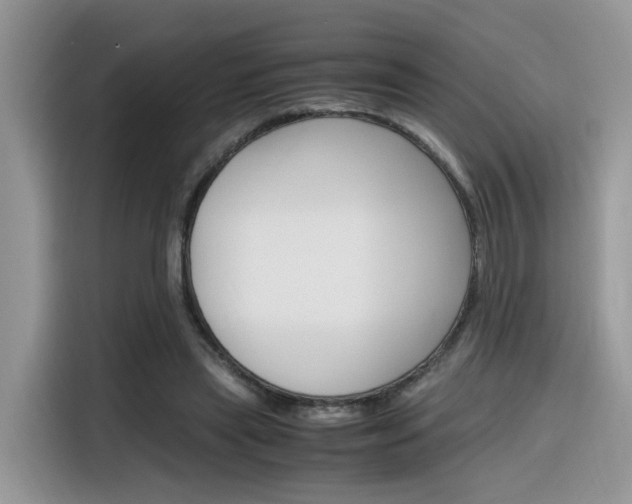 X0000116350445200912011041