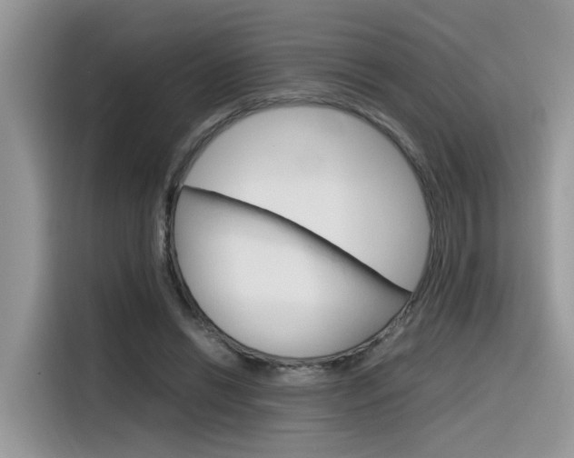 X0000116350446200912011041