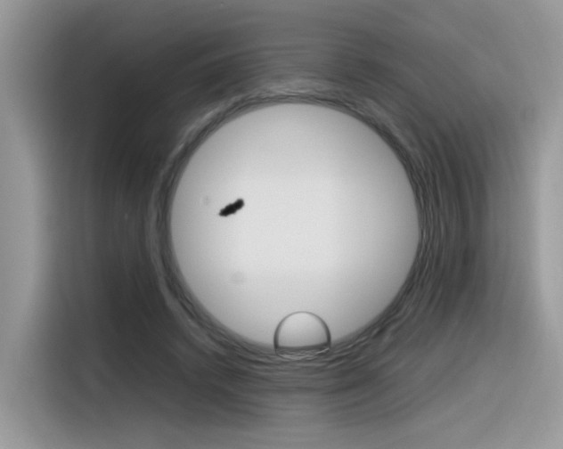 X0000116350448200912011041