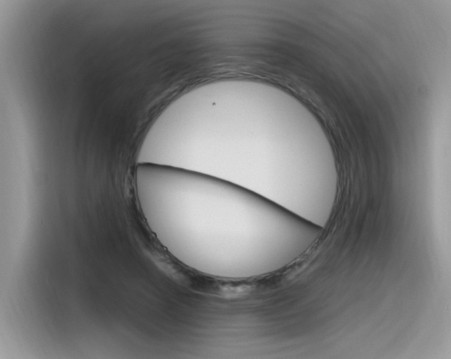 X0000116350450200912011041
