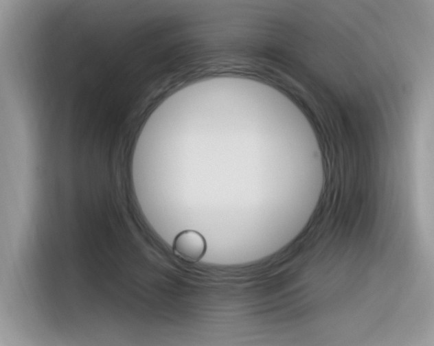 X0000116350452200912011041