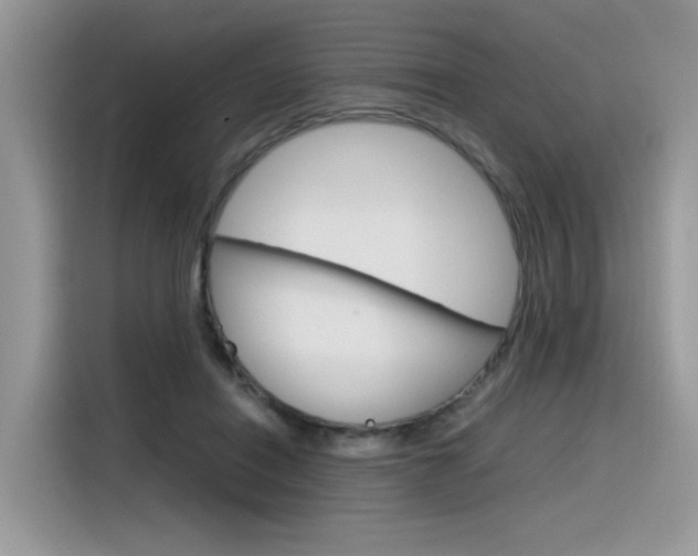 X0000116350454200912011042