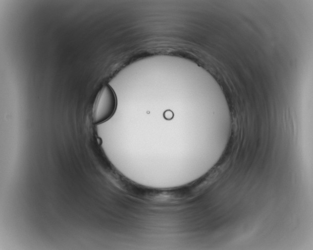 X0000116350460200912011042