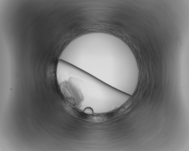 X0000116350466200912011042