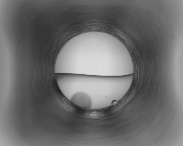 X0000116350467200912011042