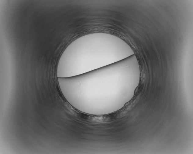 X0000116350473200912011042