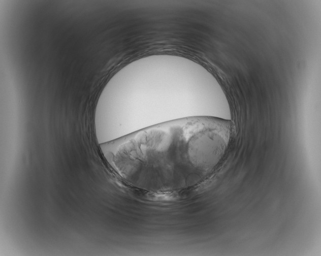 X0000116350475200912011042