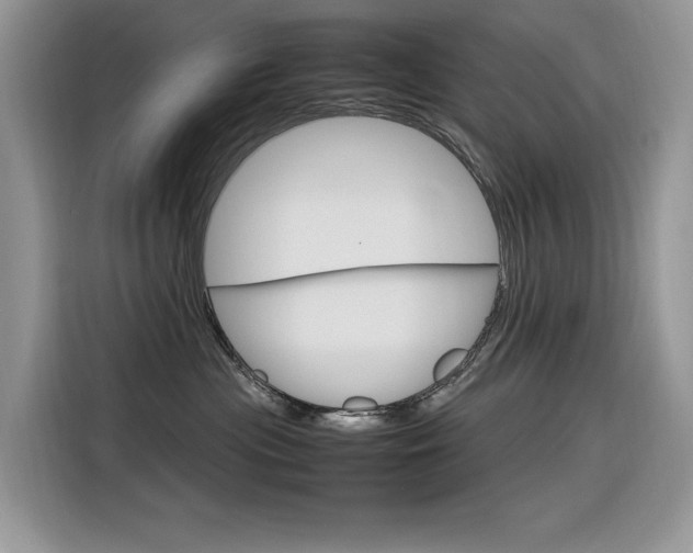 X0000116350477200912011042