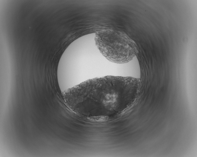 X0000116350479200912011042