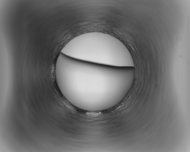 X0000116350480200912011042