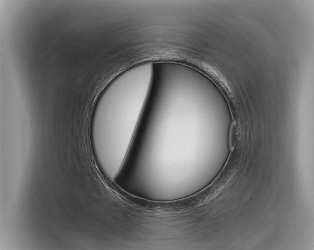 X0000116350481200912011041