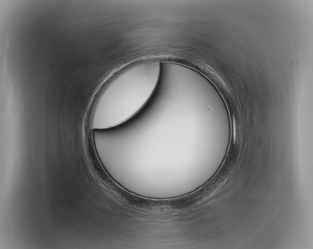 X0000116350483200912011041