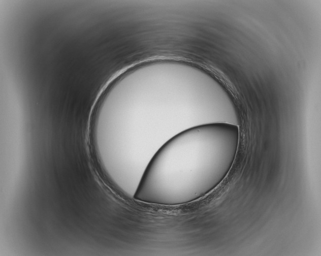 X0000116350484200912011041