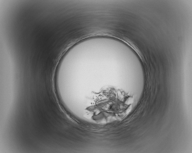 X0000116350485200912011041