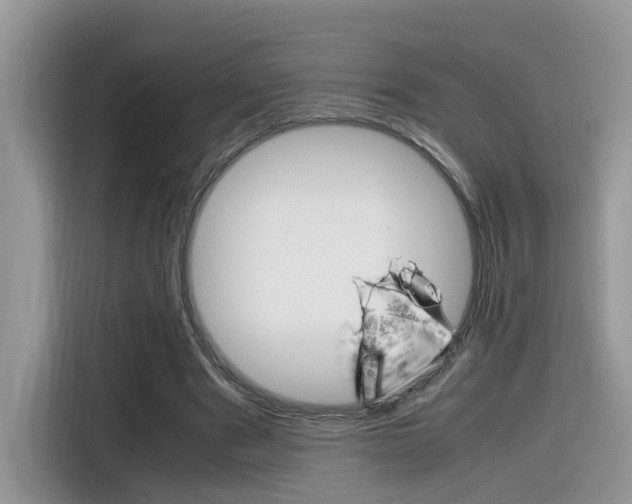 X0000116350489200912011041