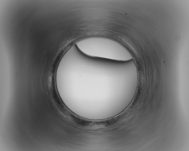 X0000116350491200912011041