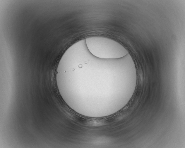 X0000116350498200912011041