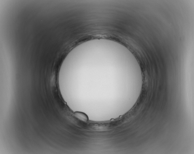 X0000116350502200912011041