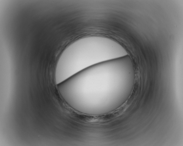X0000116350504200912011041