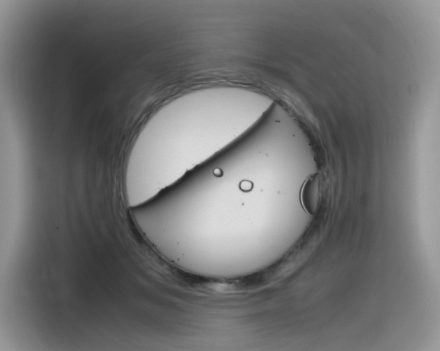 X0000116350509200912011041