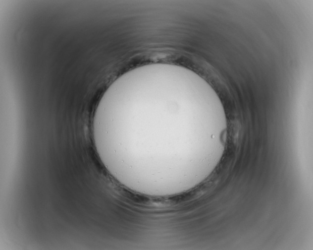 X0000116350510200912011041