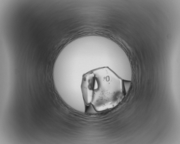X0000116350513200912011041