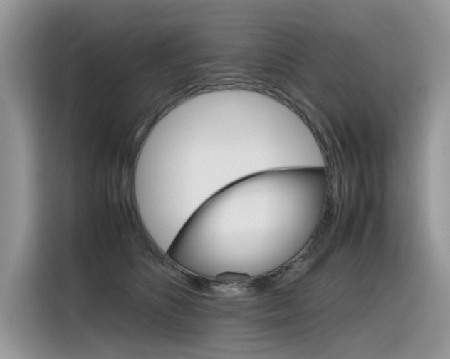 X0000116350516200912011041